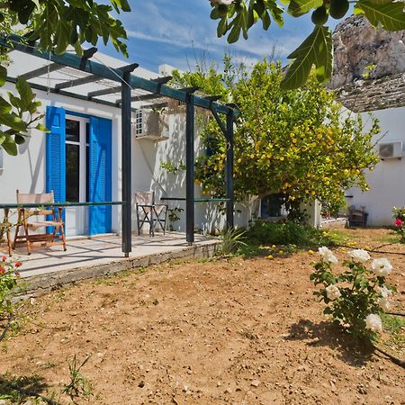 Pleiades Apartments Lefkos  外观 照片
