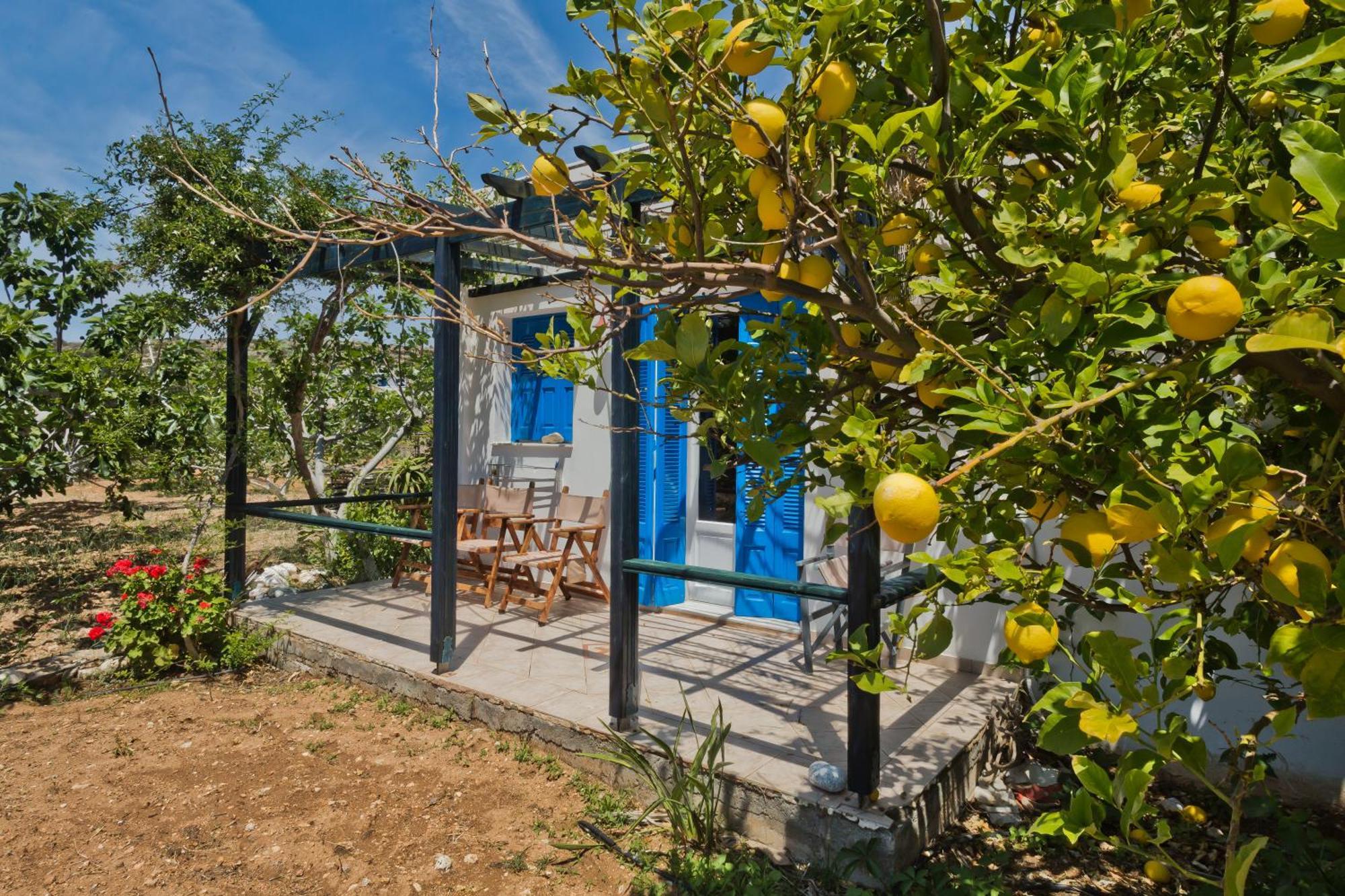 Pleiades Apartments Lefkos  外观 照片